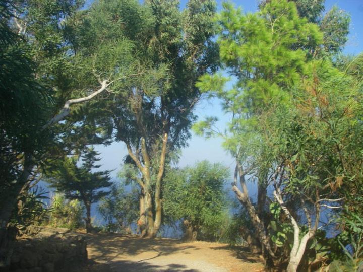 Sull'Arco Dell'Elefante Villa Tracino Buitenkant foto